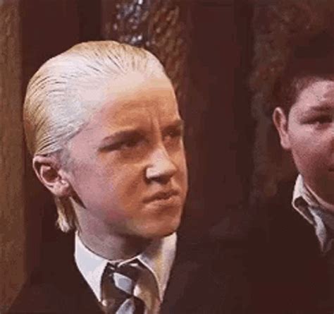 draco malfoy gif|draco malfoy memes hilarious.